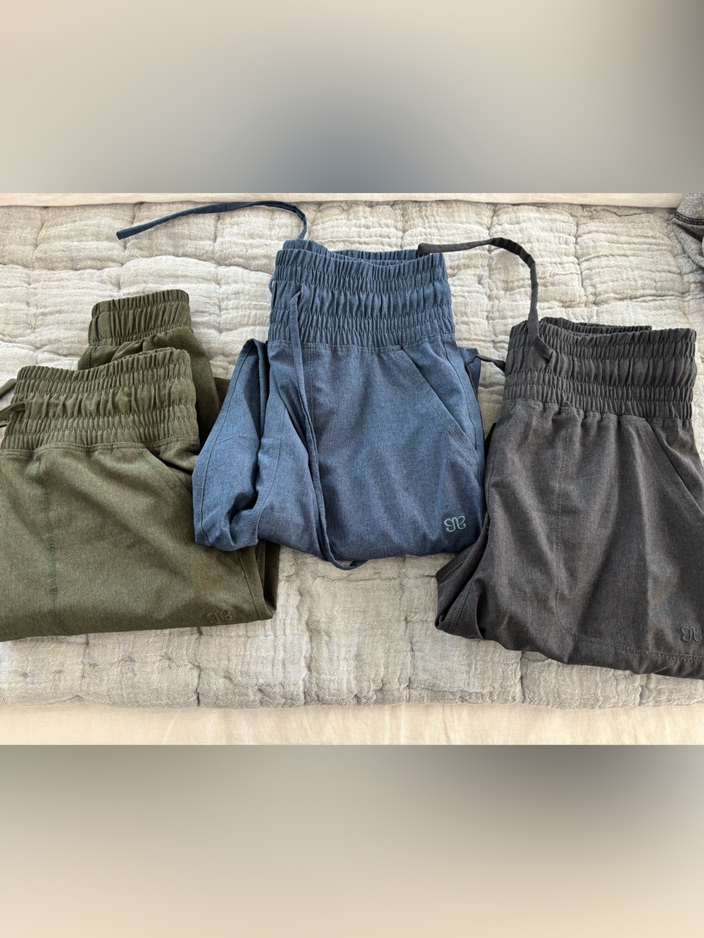 Albion Fit destination joggers lot